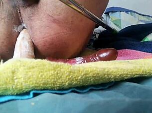 My playful little spot gets some fun toy action in this solo session.