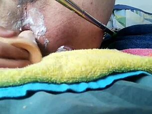 My playful little spot gets some fun toy action in this solo session.