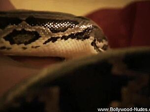 brunette lady dances nude teasing with erotic striptease moves