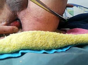 My playful little spot gets some fun toy action in this solo session.