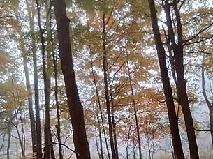 Why Settle For Ordinary When Yellow Gloves Make This Compilation So Jolly Good?