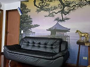 Another pregnant woman appears in the mansion with Michelly Beatriz