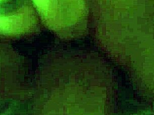 Horny Girlfriend Sucks Cock Pov And Fucks Rough In Tight Pussy Sex