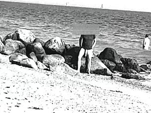 huge cock on nude beach