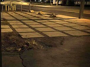 the milf dominated and fucked the teen outdoors in extreme style