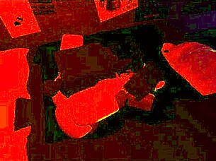 I mean those wild rosex sessions with that massive bbc just hit different every time