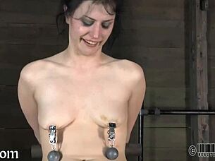 why dive into sadomasochism as amateurs with intense submissive play and rough elements?