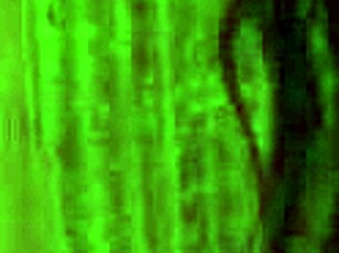 Touch my big tits and hairy pussy more, the Italian teen begs as she cums from kissing and groping - dollscult