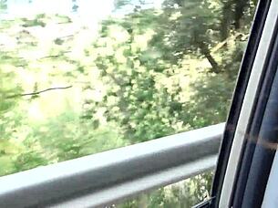 amateur couple films raw forest blowjob and fucking