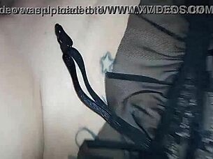 wife shared with older bull in hot cuckold session