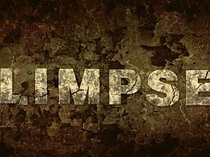 Vintage Granny's Secret Hairy Mature Fanny Exposed!