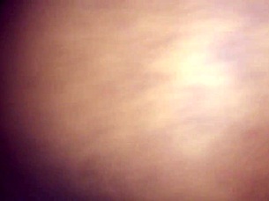 african wet black ass shakes hard