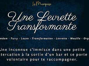 french furry crossdresser transforms into doggystyle fun