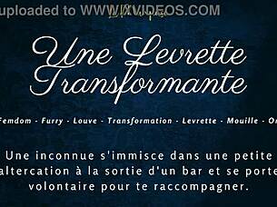 french furry crossdresser transforms into doggystyle fun