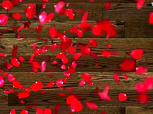 Amateur Mexican Milf Slut Hotel Tanga Off Vagina Craves Chico's Ver ga Deep