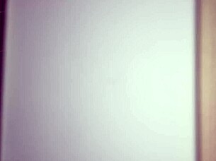 Latina Spies on Muscular Boss Before Wild Shower Cum Facial