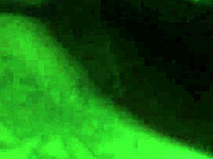 big booty bbw bounces wildly on massive bbc