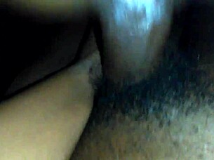 Two Beautiful Ebony Babes Worship And Ride Perch's Monster Dick!