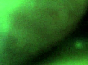 i love facesitting chriss chin with my dildo riding all my curves glory