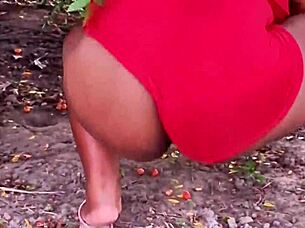 Evangelical Neighbor Grabs Fresh Fruits!