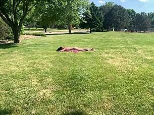 pov deepthroat from dakota marr after spying her sunbathing nude