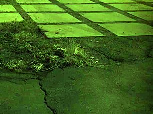 English milf dominates teen hardcore outdoors BDSM style