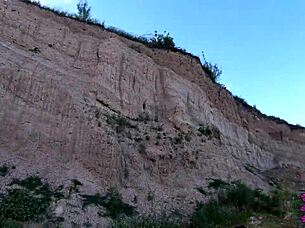 Holy Shit, Outdoor Sloppy Blowjob Swallows Huge Cock Nowhere!