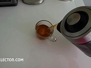 lifeselector - kisscat begs pov domination riding cock hard