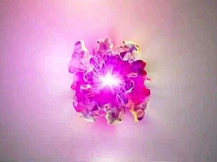 every morning my husband loves watching me orgasm on big cock