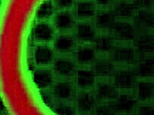 Rome Major Floods MILF Alexis Golden's Mouth with Cum