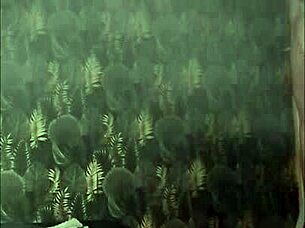 maîtresse kantalie binds slave for outdoor whipping