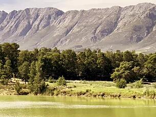 Beach domination day amazons Aprilella spanks curvy ebony slaves hard