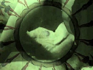 discover vintage erotic tales in silent hairy pussy movies