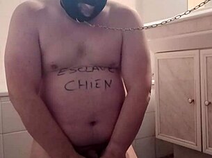 chat with french femdom slaves f and ebed