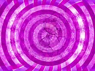 ignored again? sissy's ass worship instructions await