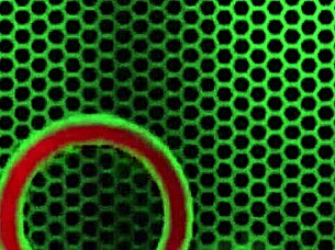 i get wicked yummy creampie from monster black cock pounding my skinny milf pussy deep