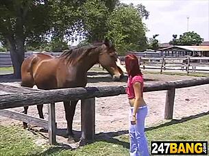 hey country girl wanna suck my ranch cock deep?