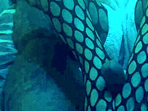 Sexy nylon leggings footjob tease
