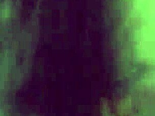 damn my spanish milf gives killer head!