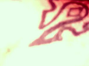 thirdghost1 dives deep into wet pussy licking