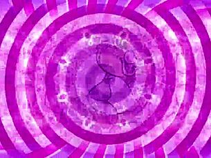 shemale model teases sissy with jerk off panty instructions