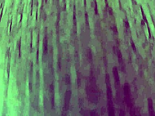 Cute miniskirt upskirt spying perfect pussy cam