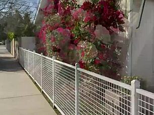 Dive Into My First Pornlog's Steamy Free SFW Tease!