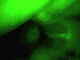 Starting to penetrate my virgin friend gently