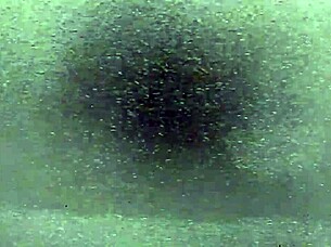 Hairy bitch spreads wide revealing her massive dripping pussy close up