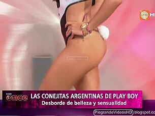 argentinian bunnies hopping wild in peru 🐰🇦🇷🇵🇪