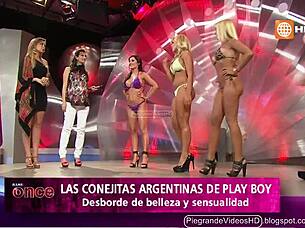 argentinian bunnies hopping wild in peru 🐰🇦🇷🇵🇪