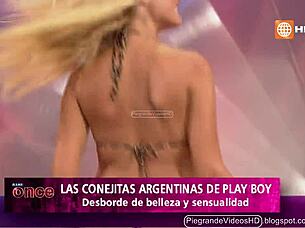 argentinian bunnies hopping wild in peru 🐰🇦🇷🇵🇪