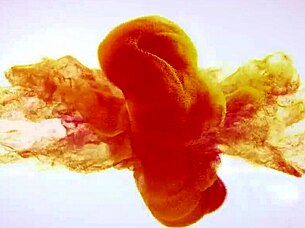 wet brunette czech squirts fingering toys closeup orgasm