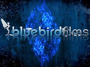 lissa love fucks hard in slutty fishnets for porn spot